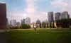 Montreal Skyline