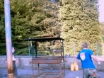 Collecting wood for the fire - Part 3