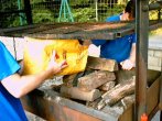 This is how to make a fire...